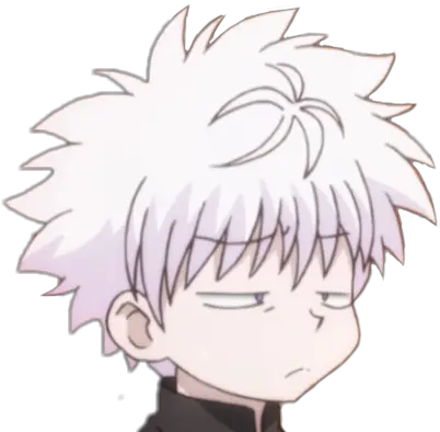 Hunter Hunterxhunter Hunterxhunter2011 Hxh Killua Killu Killua Zoldyck Png Killua Png