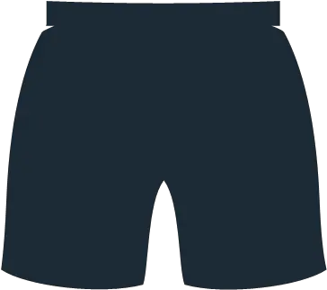 Clothes Clothing Fabric Man Shorts Swimming Icon Clothing Png Sport Icon Swimming