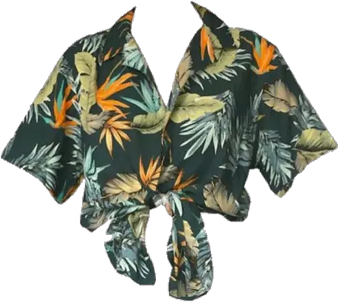 Moodboard Niche Aesthetic Clothes Shirt Hawaiian Hawaii Mood Board Shirt Png Hawaiian Shirt Png