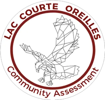 Community Assessment Lcotribe Circle Png Community Png