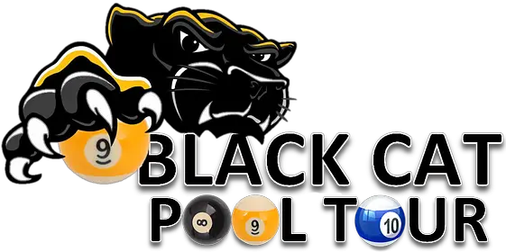 Black Cat Pool Tour Polo Clip Art Png Black Cat Logo
