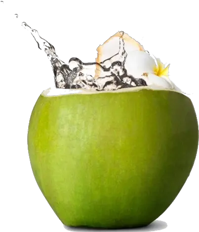 Fresh Green Coconut Png Download Image Arts Transparent Green Coconut Png Fresh Png