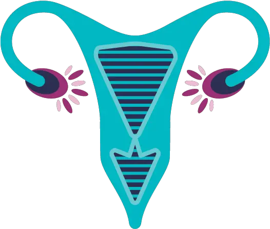 Specialist Care U2014 Wa Gynaescope Gynaecologists Fertility Gynaecology Png Obs Icon Png