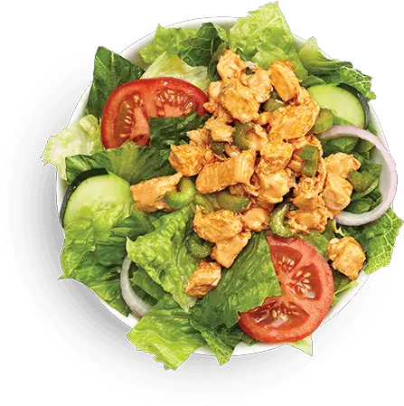 Erupter Salad Bowl Garden Salad Png Salad Bowl Png