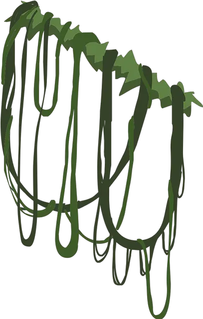 Hanging Vines Animal Jam Item Worth Wiki Fandom Powered Png Transparent