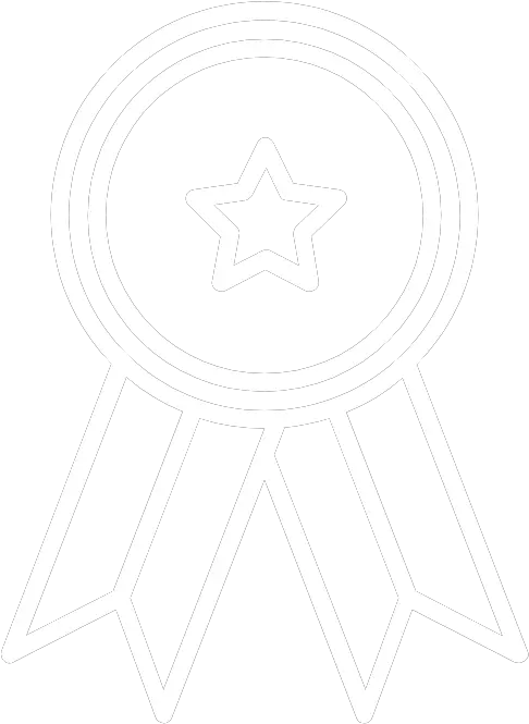 Award Icon 2 White Icon Full Size Png Download Seekpng Passport Germany Stamp Logo Award Icon Png