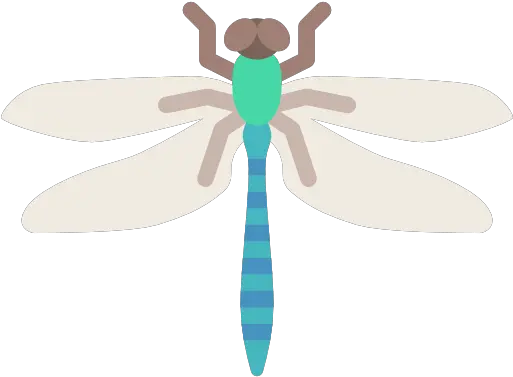 Png File For Designing Projects Insects Dragonfly Png