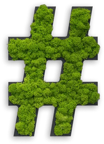 Pictogram Special Symbol Hashtag Reindeer Moss Hashtag Png Moss Png