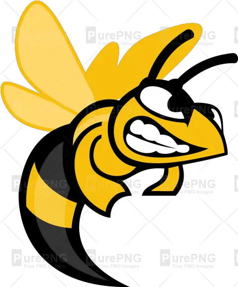 Download Hd Angry Hornet Cartoon Clipart Angry Bee Clipart Suny Broome Community College Png Bee Transparent Background