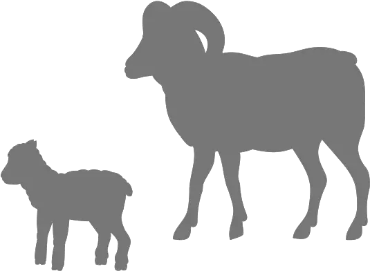 Wishlist Donate Essential Care Items For Every Lamb Rescued Christmas Shepherd Silhouette Png Lamb Icon