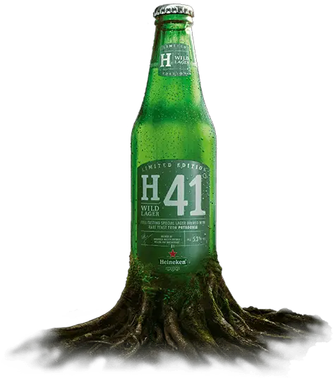 Discover H41 Wild Lager By Heineken Heineken H41 Beer Bottle Png Heineken Png
