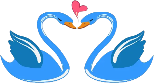 Heart Clipart Swan Swan Cartoon Clipart Png Transparent Swans Vector Swan Png
