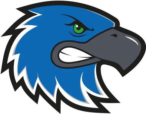 Geneva Seahawks U2013 Afc Zurich Renegades Geneva Seahawks Png Seahawks Logo Image