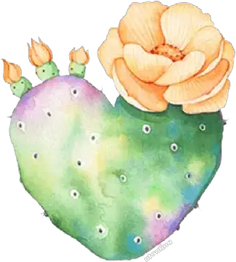 Cute Transparent Tumblr Cactus Pictures To Pin