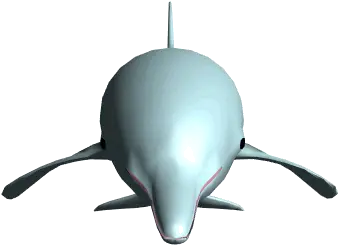 Cool Animated Dolphins Clip Art Images Clipart Animated Gif Dolphin Png Transparent Animations