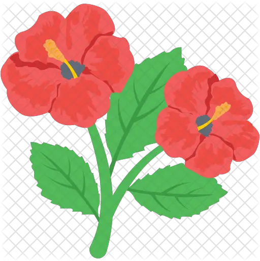 Hibiscus Icon Hawaiian Hibiscus Png Hibiscus Png