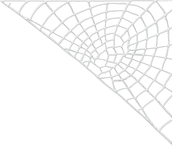 Cobweb Png Images In Collection Pattern Cobweb Png