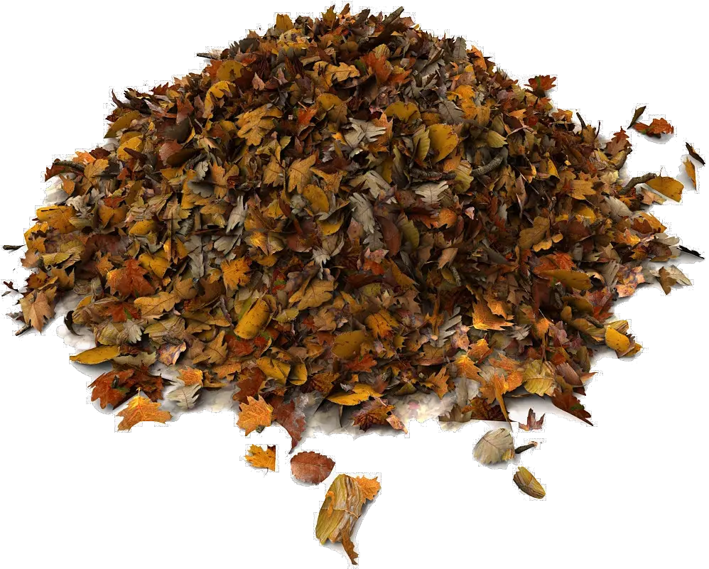 Download Rummage Sale Pile Of Leaves Png Dried Leaves 3d Pile Of Leaves 3d Model Leaves Png