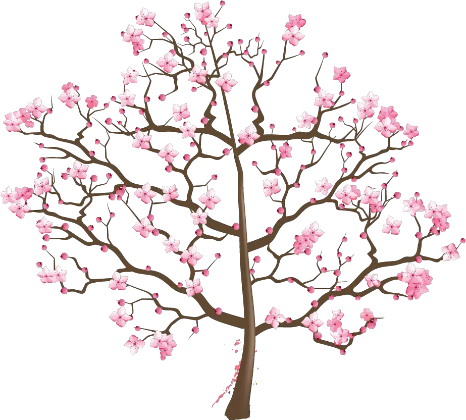 Cherry Blossom Tree Png Suzuki Cherry Blossom Tree Png Images Png Download Cherry Blossom Tree Png Cherry Tree Png