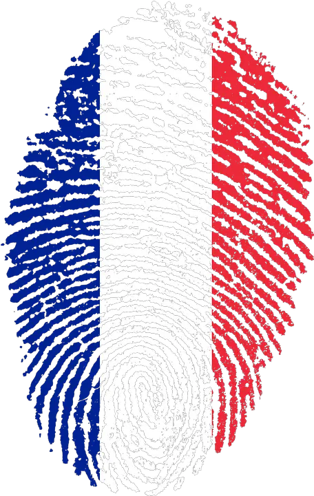 France Flag Png Transparent Free Images France Flag Fingerprint France Flag Png