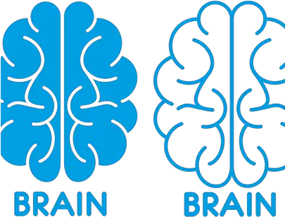 Magnificent Brain Projects Photos Videos Logos Png Icon Transparent Background