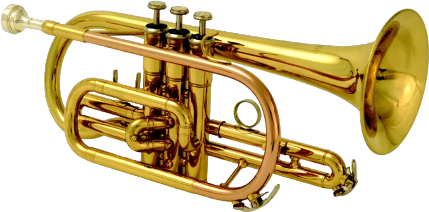 Png Transparent Trombone Brass Band Instruments Png Trombone Png