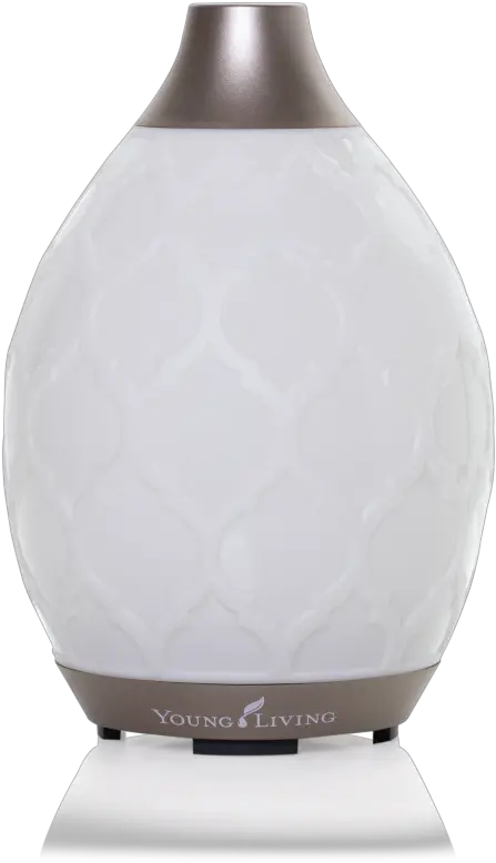 Download Desert Mist Diffuser Young Living White Diffuser Vase Png Mist Png