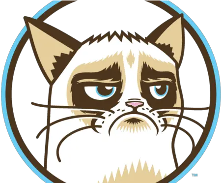 Download Hd Grumpy Cat Coffee Grumpy Cat Cafe Transparent Grumpy Cat Mocha Png Grumpy Cat Png