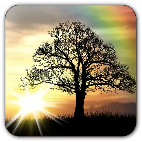 Sun Rise Free Live Wallpaper Apps On Google Play Tree With Tire Swing Silhouette Png Sunrise Transparent Background