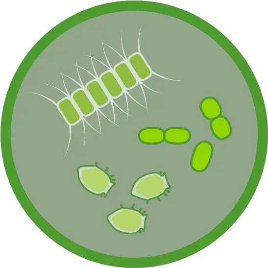 Chlorophyll A National Marine Ecosystem Status Chlorophyll Ecosystem Png Dayz Germ Icon