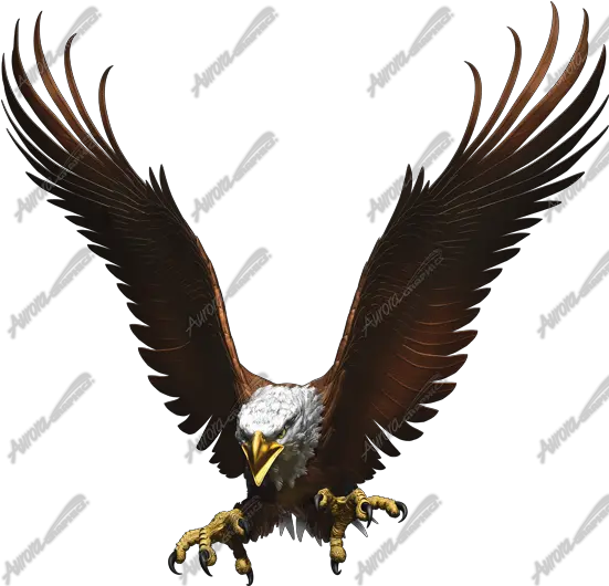 Pix 550x529 Flight Of The Eagle Png V81 Background Portable Network Graphics Eagle Png