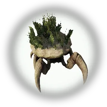 Bdo Kamasylvia Small Stoneback Crab Knowledge Database Crabs Png Crab Icon