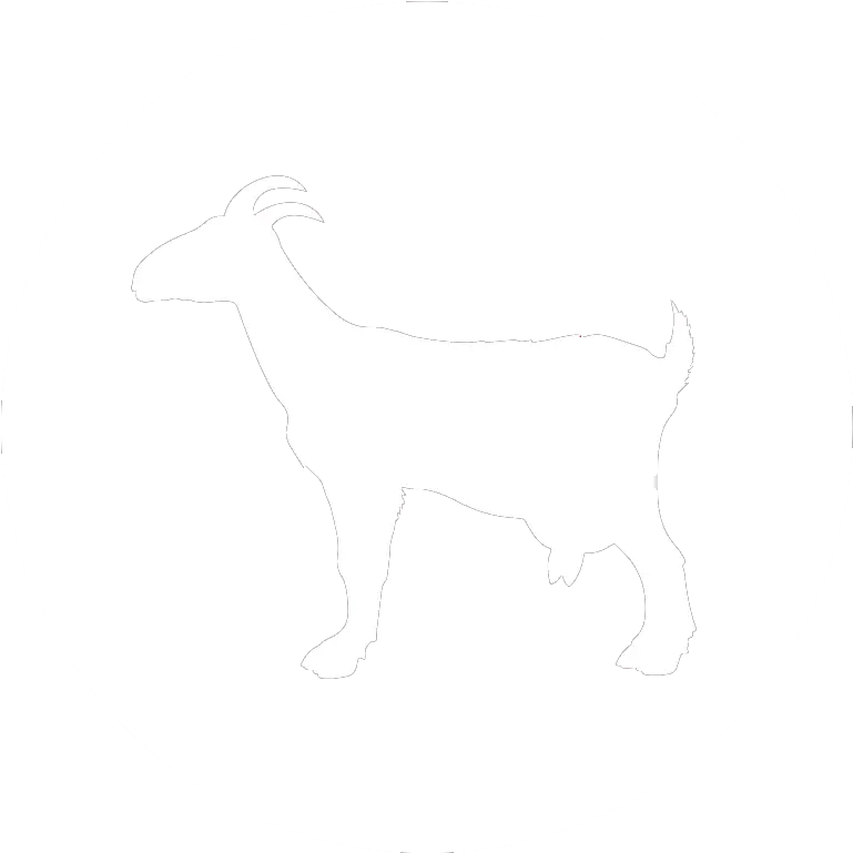 Duo Scango Imv Imaging Usa Goat Png Goat Transparent