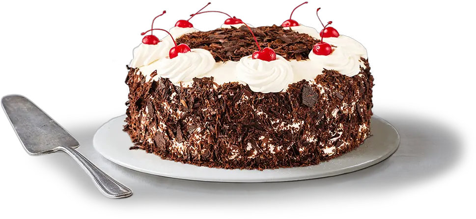 Download Picture Of An Annu0027s Bakery Black Forest Gateaux Black Forest Cake Png Cake Transparent Background