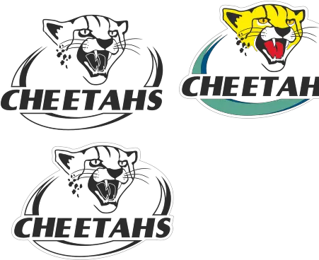 Cheetah Logo Vector Vector Cheetah Rugby Logo Png Cheetah Logo