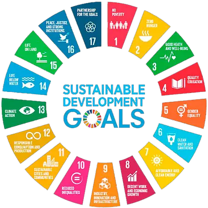 Sustainable Development Goals Sustainable Development Goals Corona Png Goals Png