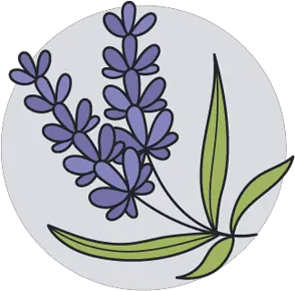 Perfumes Floral Png Icon Meble