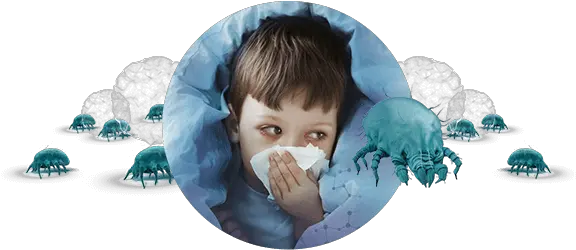 Your Child Is Allergic To Dust Mites Exaller Palette Png Dust Cloud Png