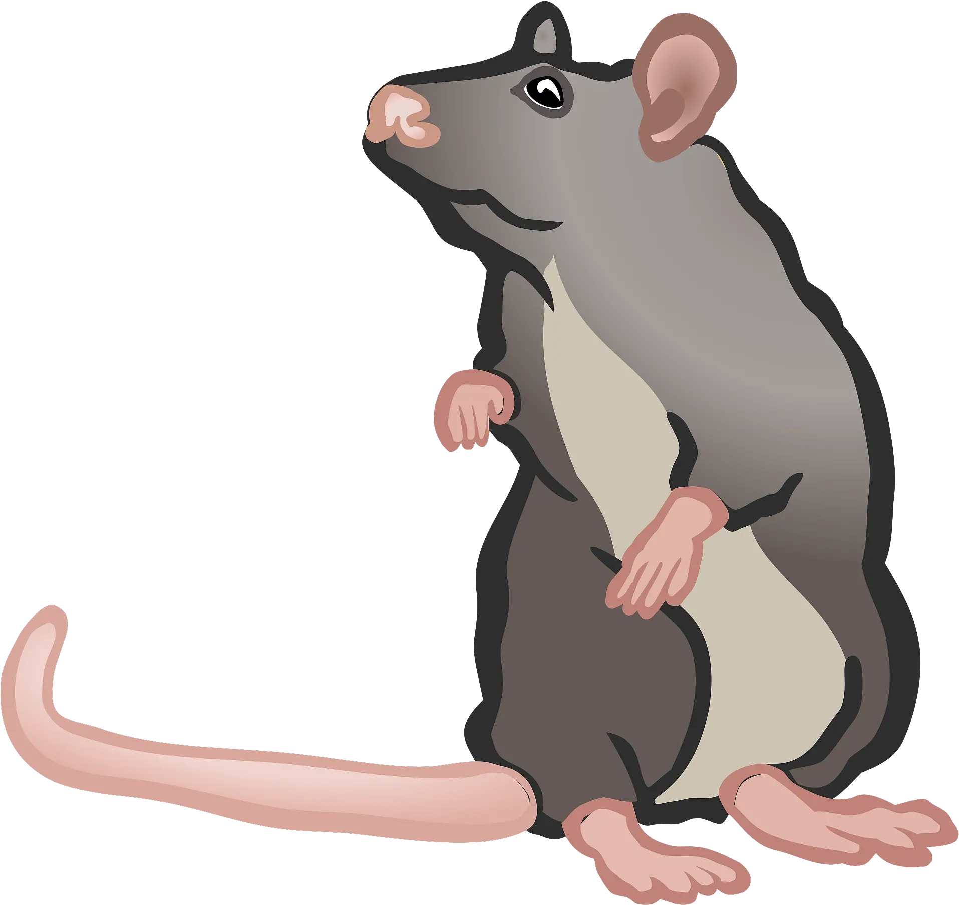 Mouse Clipart Free Download Transparent Png Creazilla 2 Mouse Clipart Mouse Animal Png