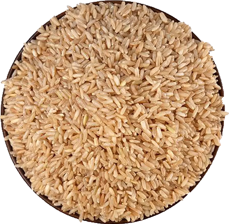 Brown Rice Png Image Brown Rice Images Hd Rice Transparent