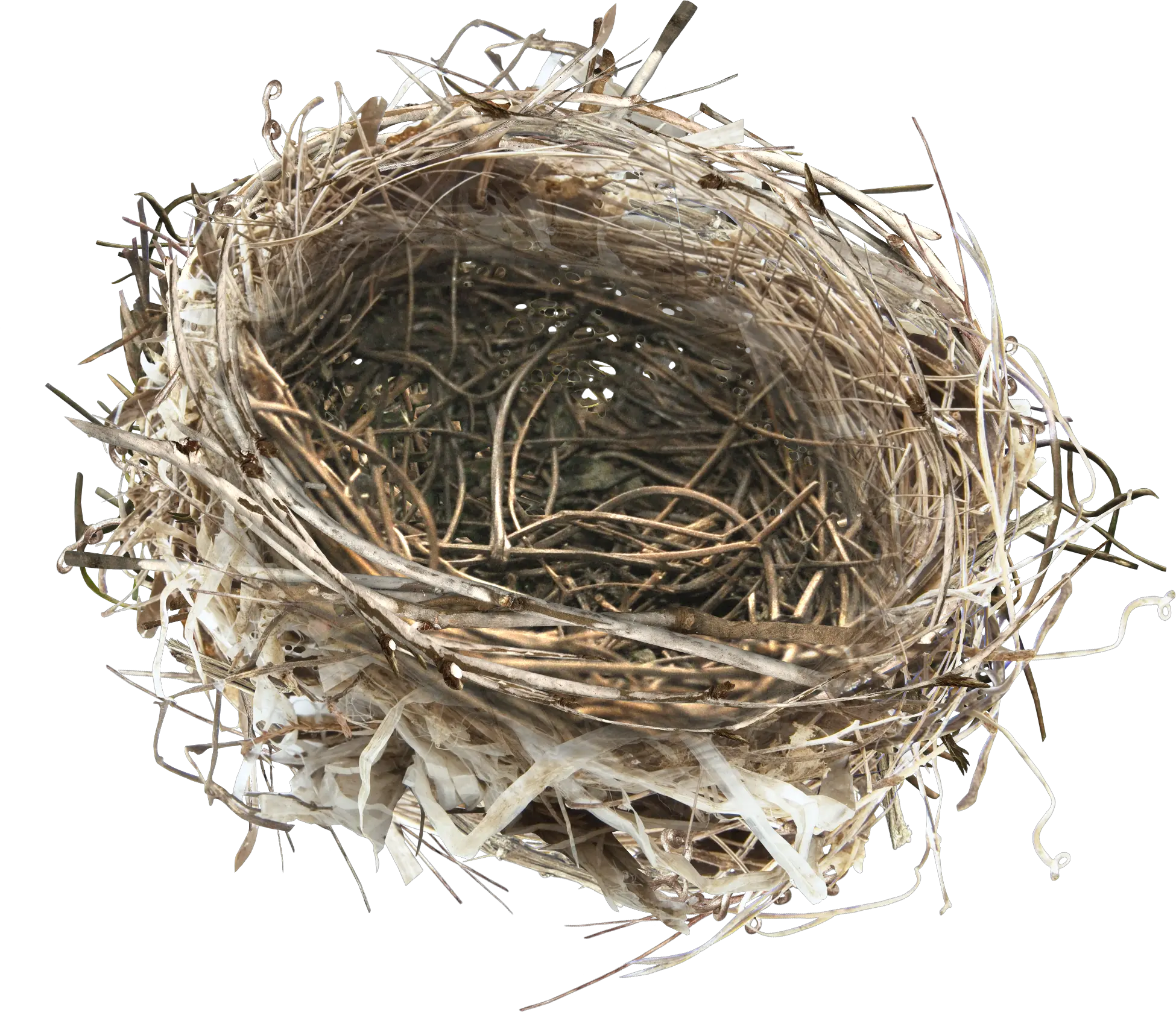 Download Hd This Product Design Is Hand Painted A Nest Png Eggs On The Nest Nest Png