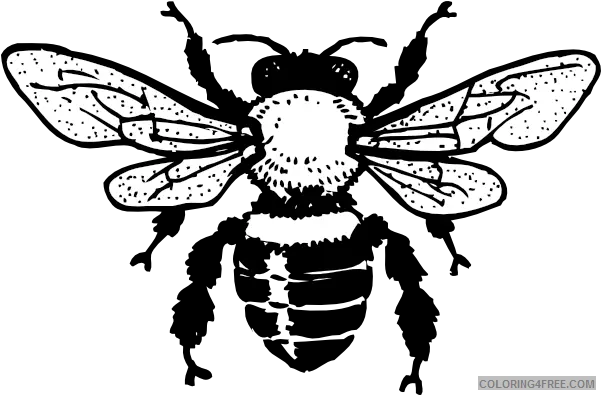 Honey Bee Coloring Pages Queen Hi Png Printable Free Bee Clip Art Queen Bee Png