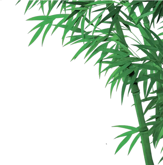 Download Png Image With Transparent Bamboo Image Hd With Transparent Background Bamboo Transparent Background