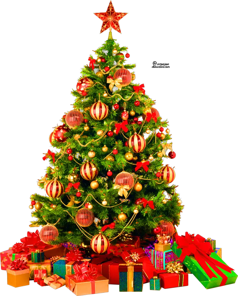 Christmas Pine Tree Png
