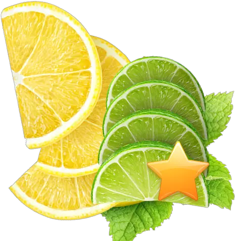 358 Lemon U0026 Lime Half Slices Bundle U2013 Chophouse Meyer Lemon Png Lime Slice Png