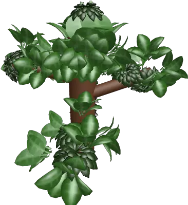 Jungle Tree Houseplant Png Jungle Tree Png