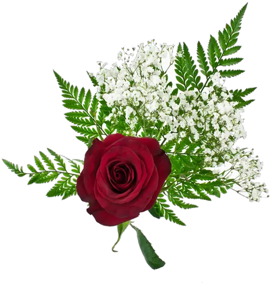 Flower Orders Floribunda Png Single Rose Png