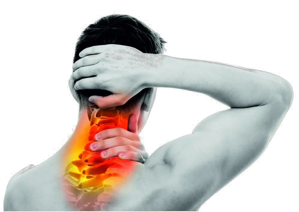 Pain In The Neck Png Background Image Mart Neck Pain Body Png