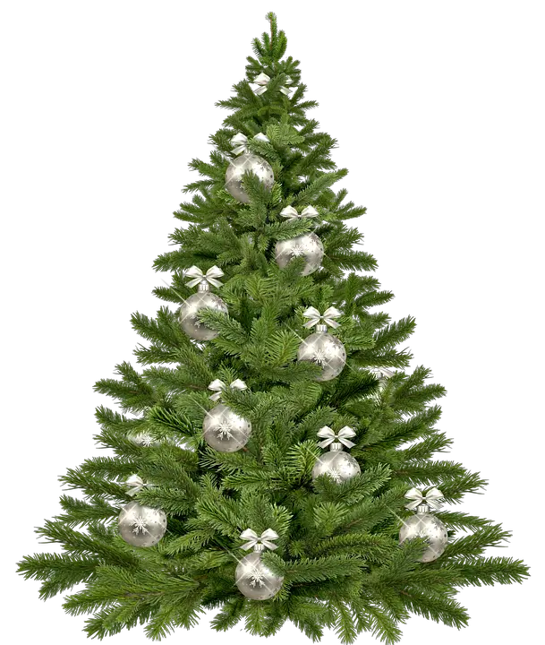 Candy Christmas Trees Png