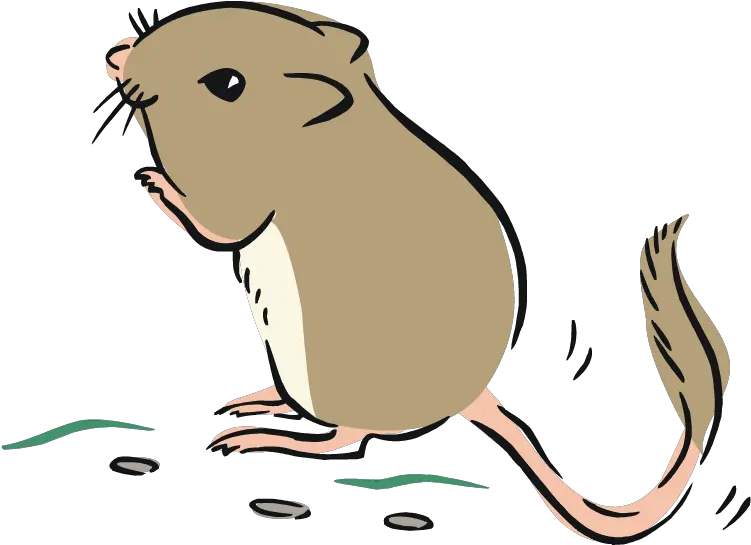 Zodiac Clipart Rat Kangaroo Rat Clipart Png Download Rat Clipart Png Rat Transparent Background